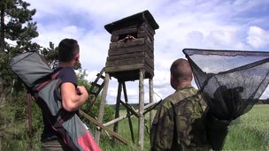 hardcore trio pijpen op zen hondjes cumshot